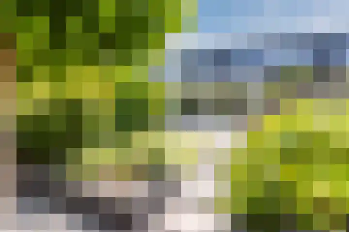 Azuriet 9 Leusden thumbnail 21