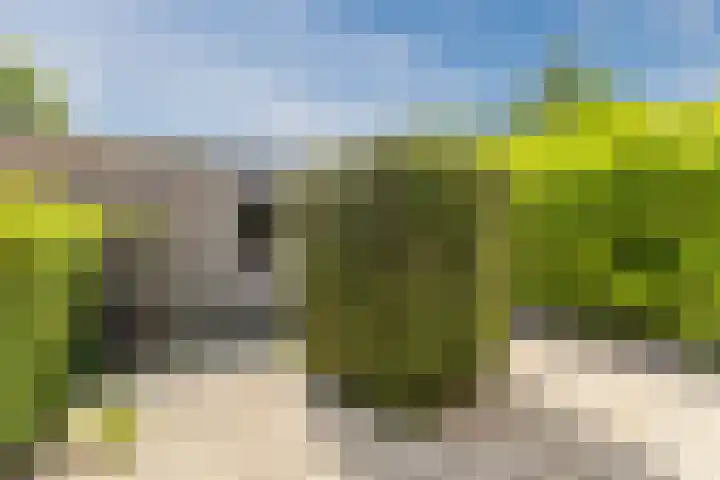 Azuriet 9 Leusden thumbnail 26