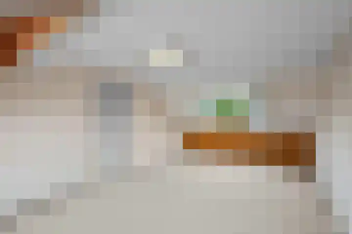 Azurietdijk 109 Roosendaal thumbnail 35