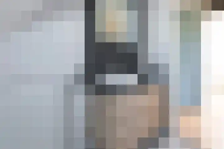Azurietdreef 34 Emmen thumbnail 17