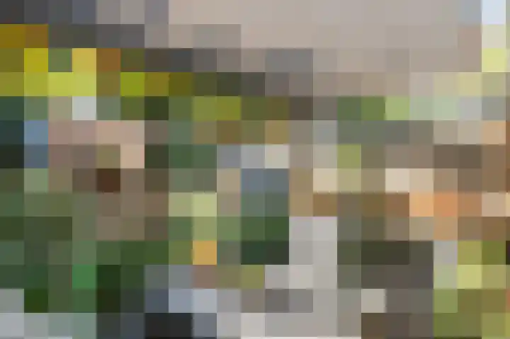 Azurietdreef 34 Emmen thumbnail 20