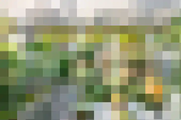 Azurietdreef 34 Emmen thumbnail 23