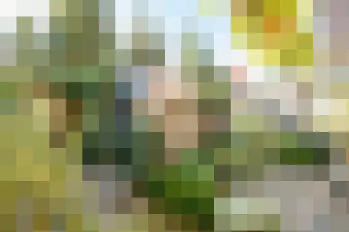 Azurietdreef 34 Emmen thumbnail 24