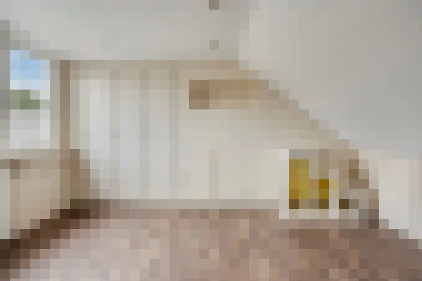 Azurietstraat 26 Nijmegen thumbnail 20