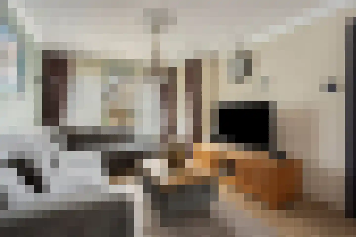 Azurietstraat 26 Nijmegen thumbnail 5