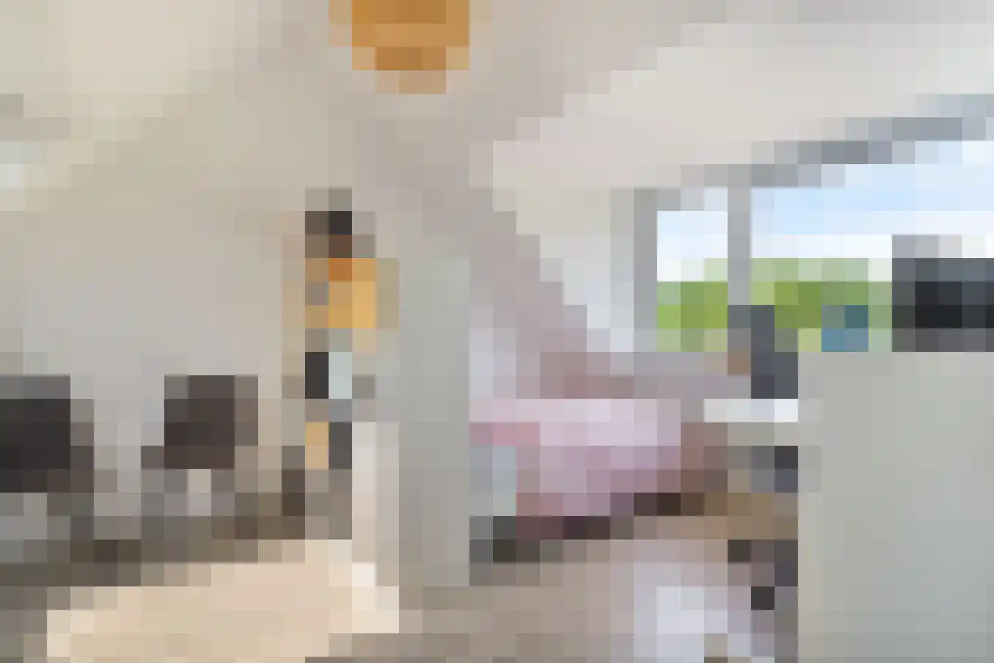 Azuurblauw 2 Zoetermeer thumbnail 32