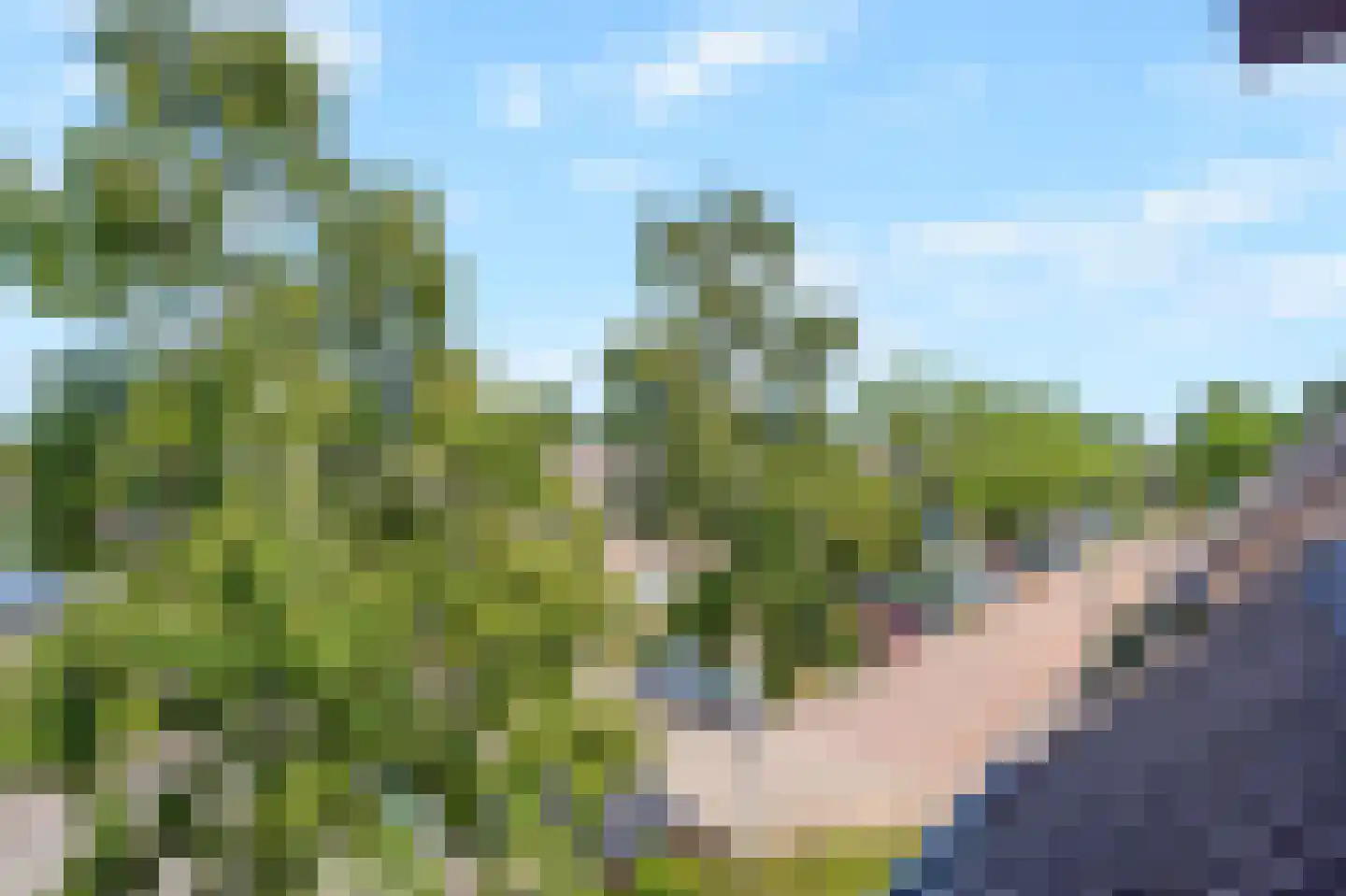 Azuurblauw 2 Zoetermeer thumbnail 36