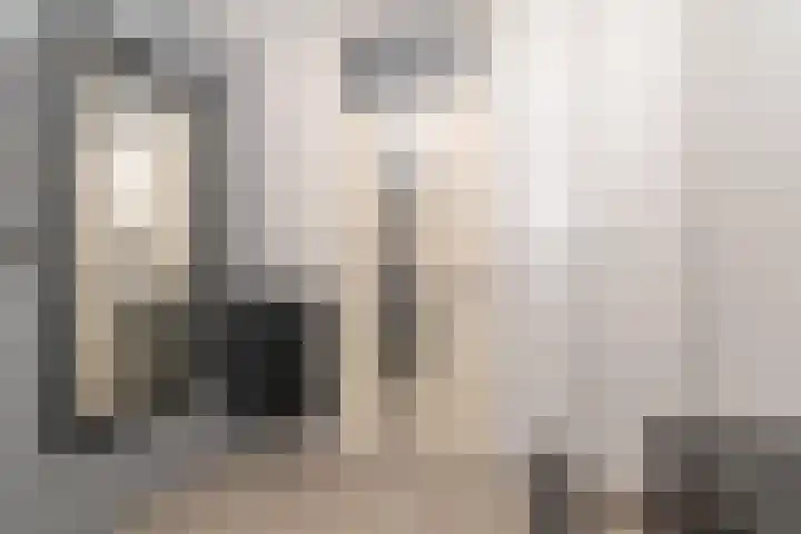 Azuurblauw 77 Zoetermeer thumbnail 15