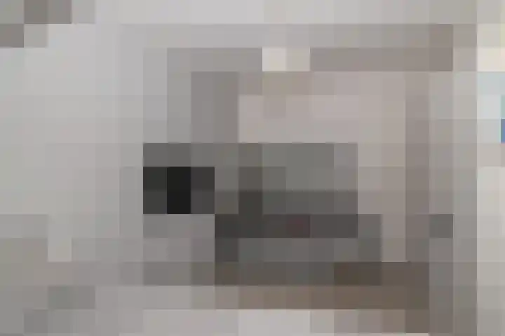Azuurblauw 77 Zoetermeer thumbnail 17