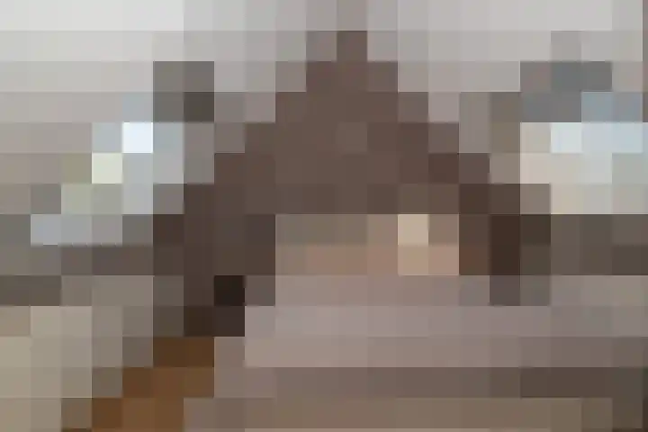 Azuurblauw 77 Zoetermeer thumbnail 22