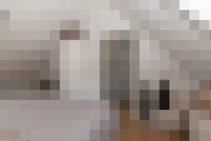 Azuurblauw 77 Zoetermeer thumbnail 23