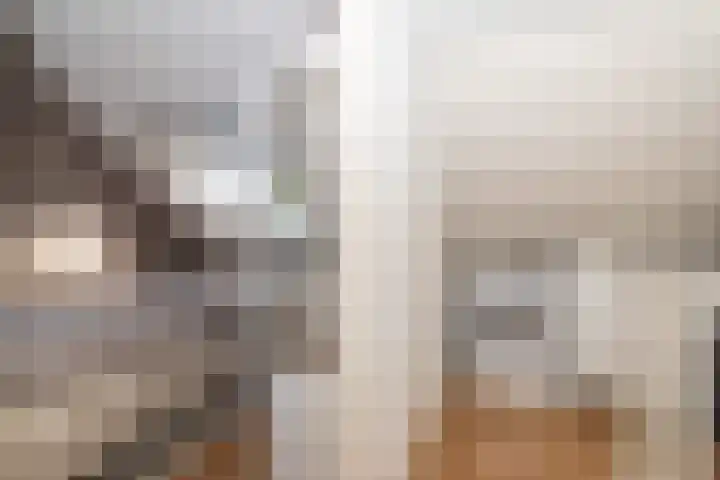 Azuurblauw 77 Zoetermeer thumbnail 25