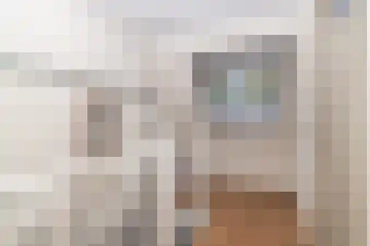 Azuurblauw 77 Zoetermeer thumbnail 26