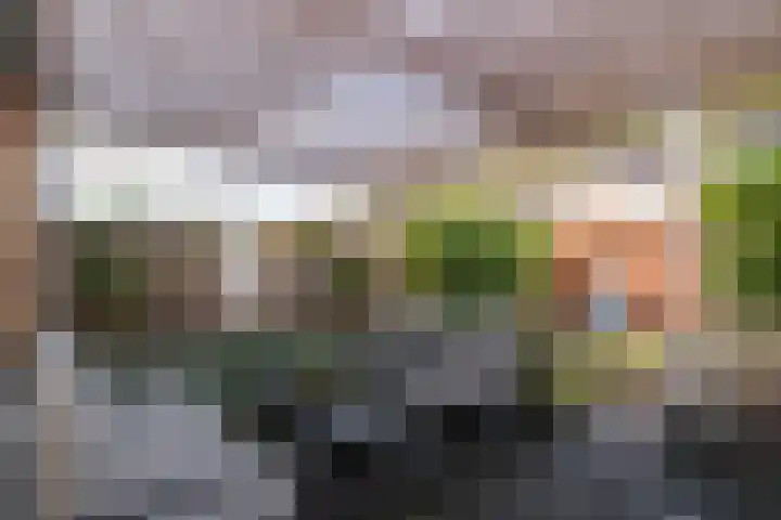 Azuurblauw 77 Zoetermeer thumbnail 27
