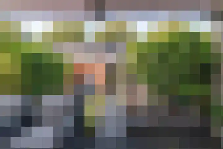 Azuurblauw 77 Zoetermeer thumbnail 28