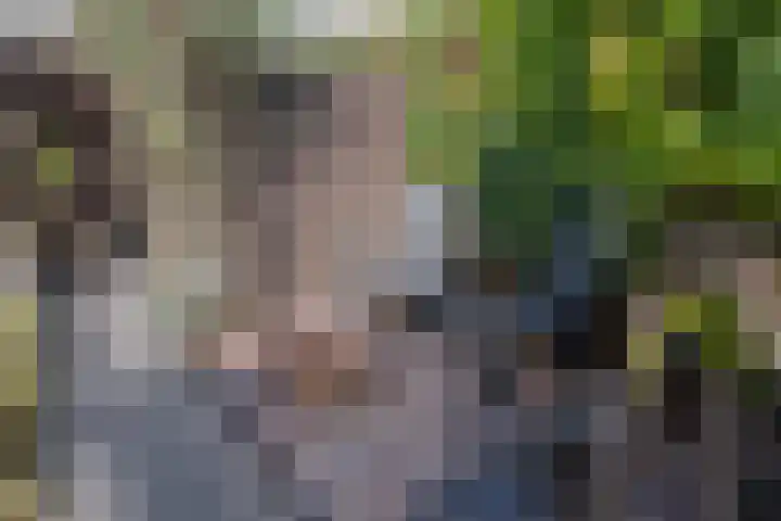 Azuurblauw 77 Zoetermeer thumbnail 30