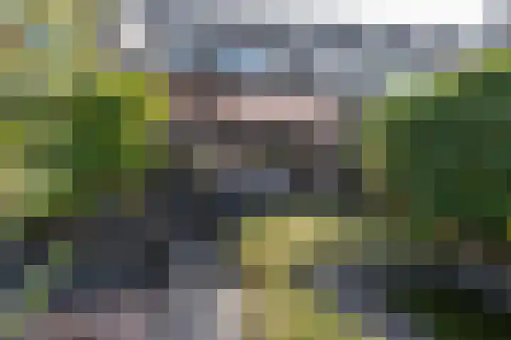 Azuurblauw 77 Zoetermeer thumbnail 31