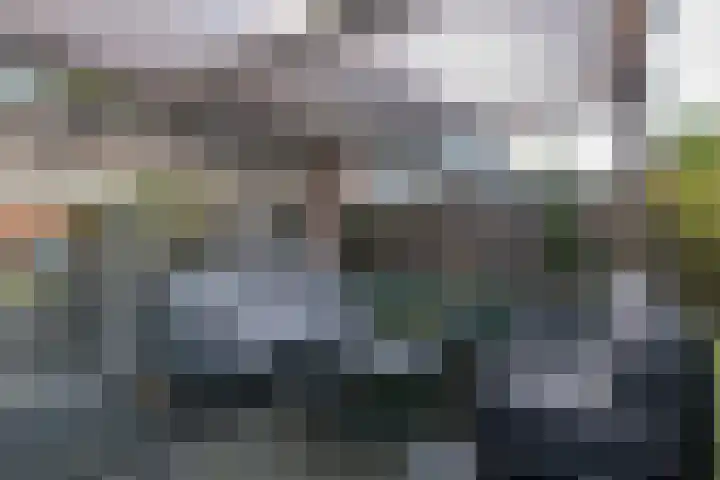 Azuurblauw 77 Zoetermeer thumbnail 33