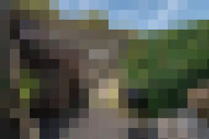 Azuurblauw 77 Zoetermeer thumbnail 34