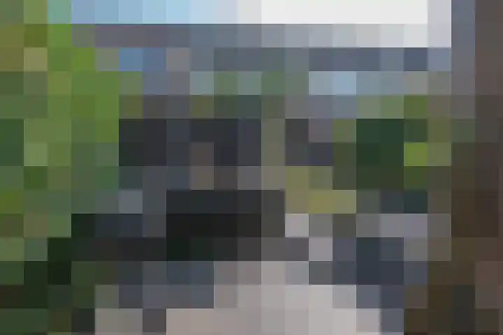 Azuurblauw 77 Zoetermeer thumbnail 35