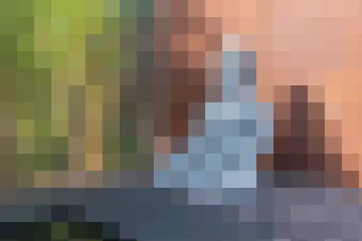 Azuurblauw 77 Zoetermeer thumbnail 36