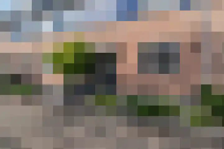 Azuurblauw 77 Zoetermeer thumbnail 38