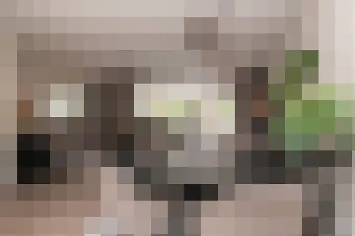 Azuurblauw 77 Zoetermeer thumbnail 6