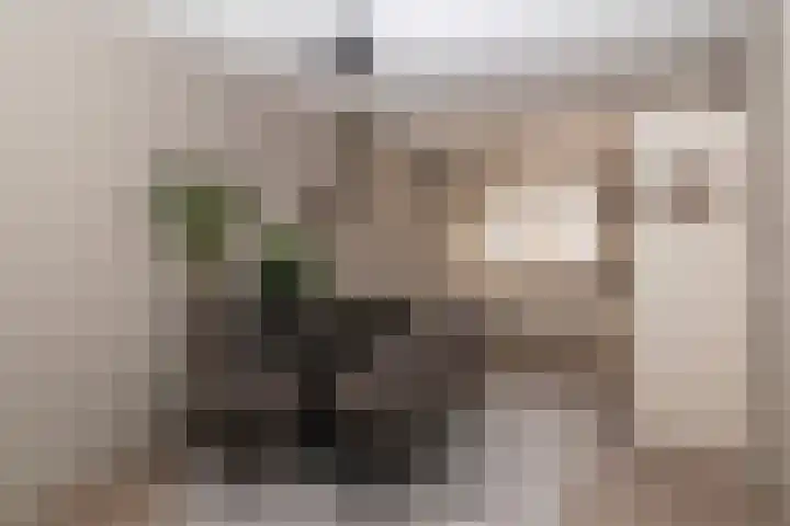 Azuurblauw 77 Zoetermeer thumbnail 7