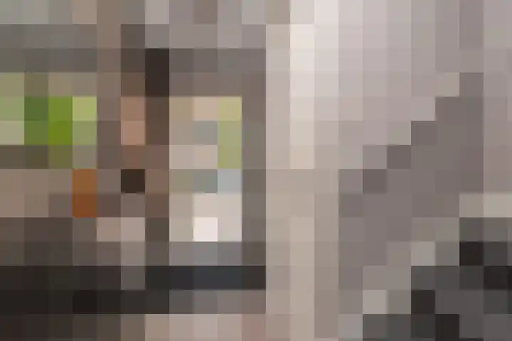 Azuurblauw 77 Zoetermeer thumbnail 9
