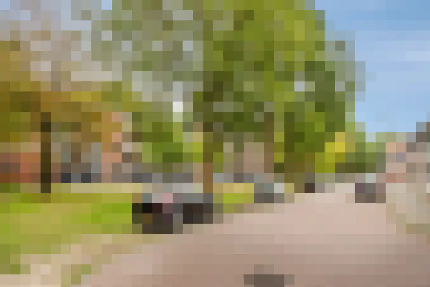Azuurweg 154 Tilburg thumbnail 20