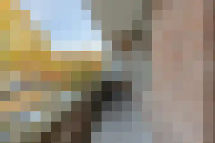 Azuurweg 170 Tilburg thumbnail 19