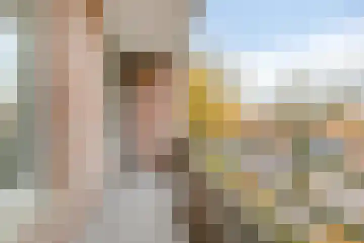 Azuurweg 170 Tilburg thumbnail 20
