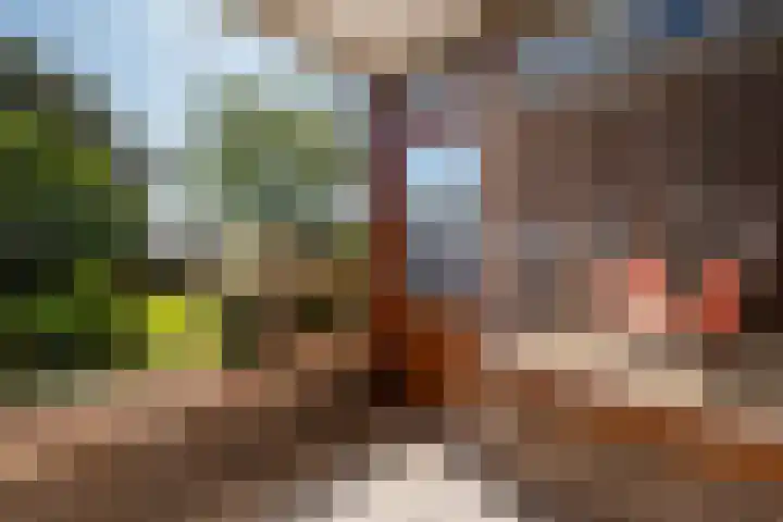 Azuurweg 192 Tilburg thumbnail 17