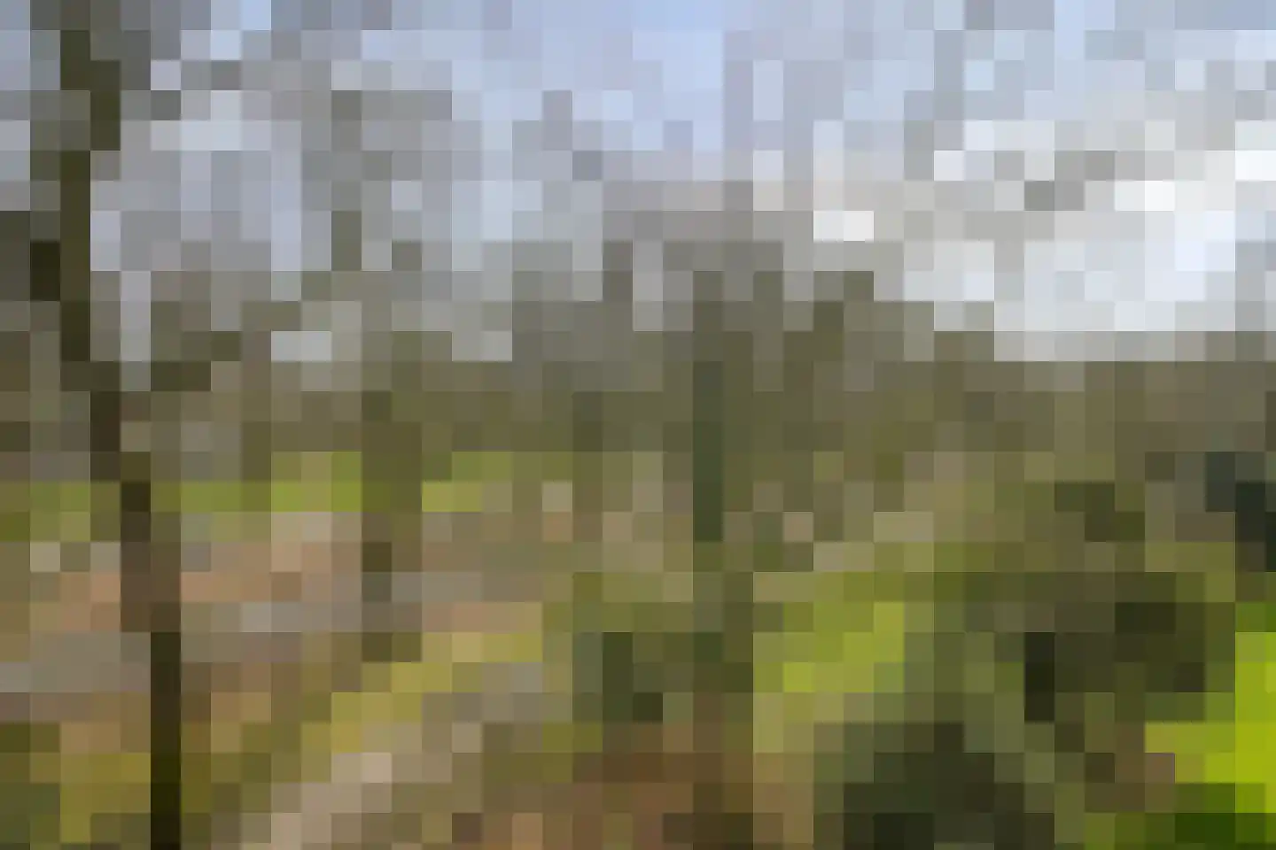 Azuurweg 192 Tilburg thumbnail 18