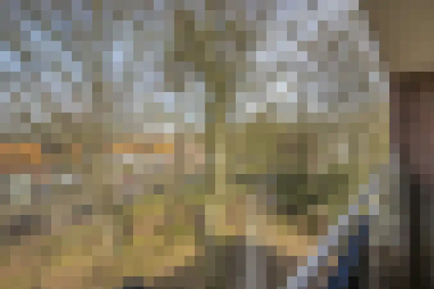 Azuurweg 192 Tilburg thumbnail 20