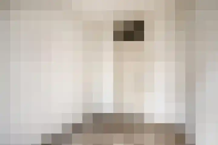 Azuurweg 192 Tilburg thumbnail 29