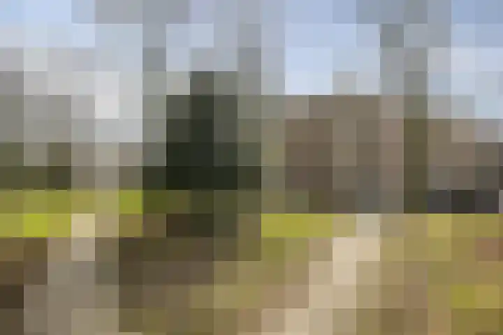Azuurweg 192 Tilburg thumbnail 33