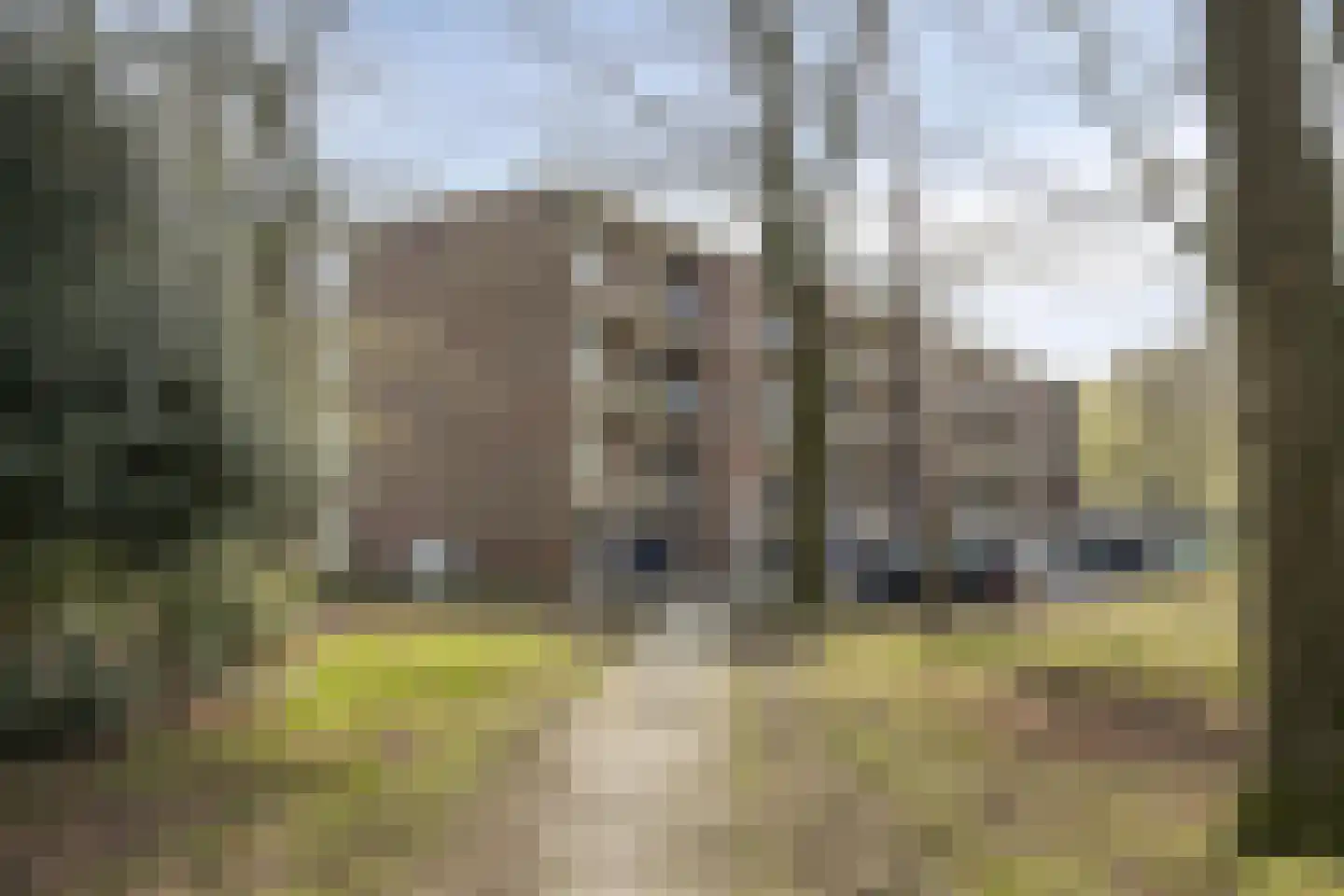Azuurweg 192 Tilburg thumbnail 34