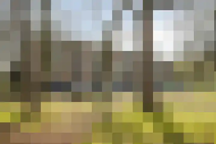 Azuurweg 192 Tilburg thumbnail 35