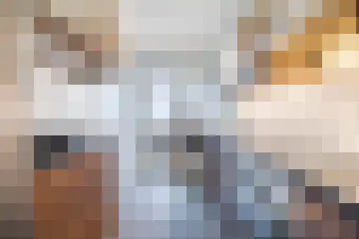 Azuurweg 216 Tilburg thumbnail 13