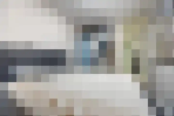 Azuurweg 216 Tilburg thumbnail 19