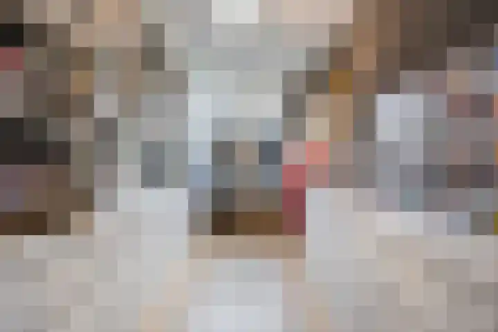 Azuurweg 216 Tilburg thumbnail 20