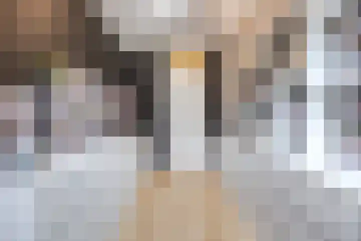 Azuurweg 216 Tilburg thumbnail 21