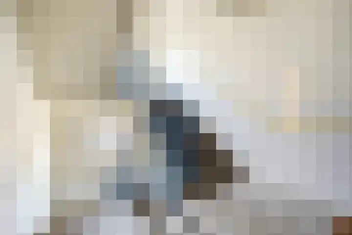 Azuurweg 216 Tilburg thumbnail 22