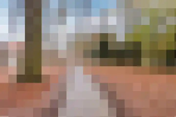 Azuurweg 216 Tilburg thumbnail 29
