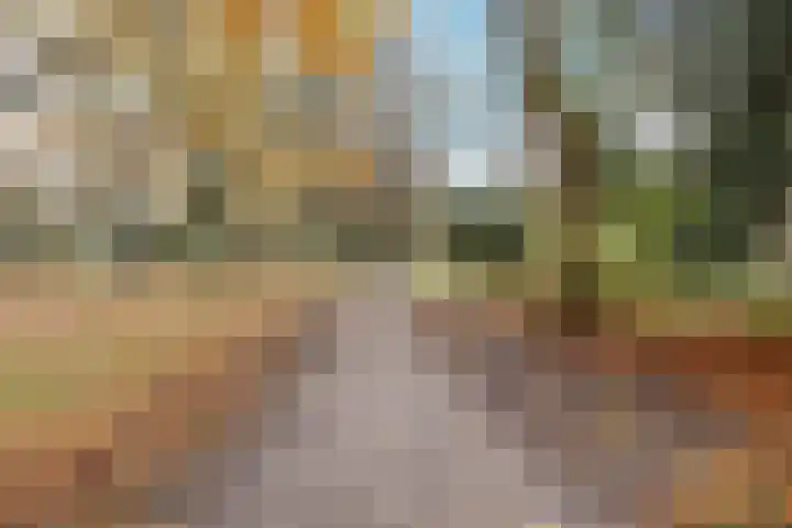 Azuurweg 216 Tilburg thumbnail 30