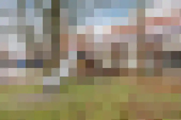 Azuurweg 216 Tilburg thumbnail 31