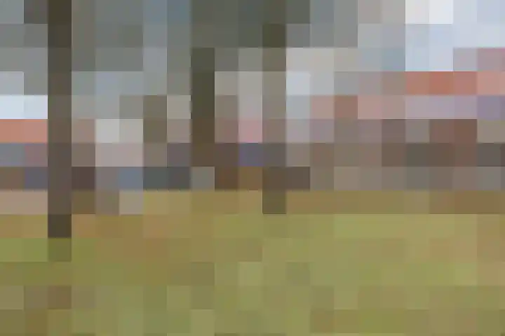 Azuurweg 216 Tilburg thumbnail 32