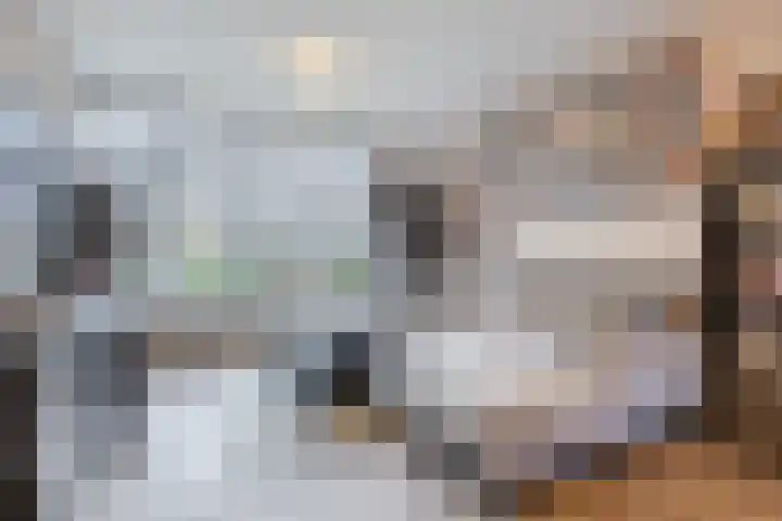 Azuurweg 216 Tilburg thumbnail 5