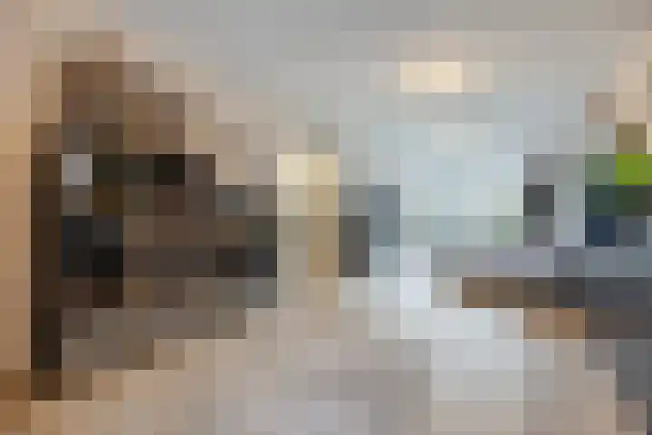 Azuurweg 216 Tilburg thumbnail 7